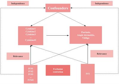 Exploring the causal relationship between inflammatory cytokines and immunoinflammatory dermatoses: a Mendelian randomization study